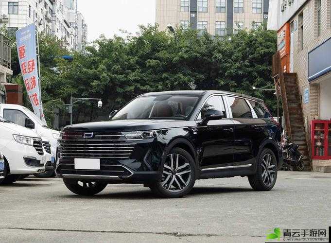 497799 欧洲版的国产 SUV：性能卓越的新选择