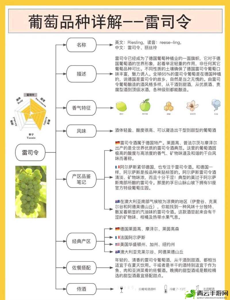 99 品一二三产区区别大揭秘