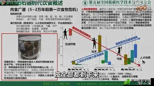 肉食教师食取报告 2：深度解析