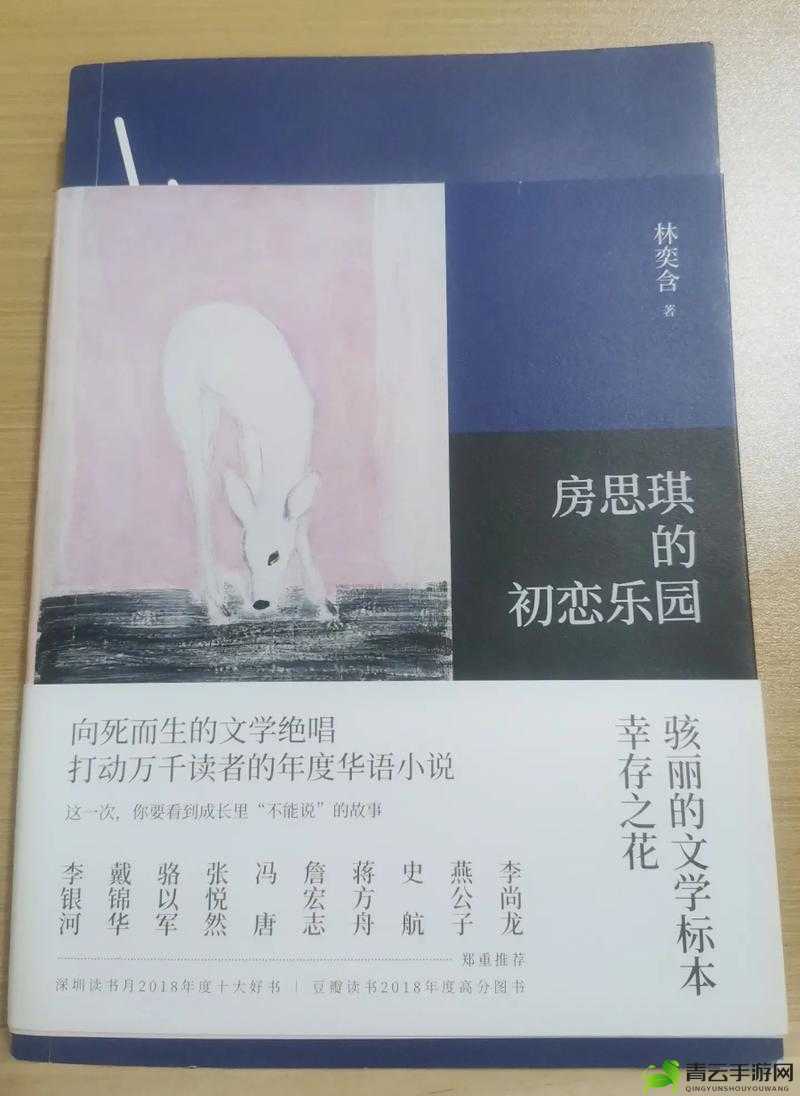 房思琪的初恋乐园全文免费阅读：走进文学世界