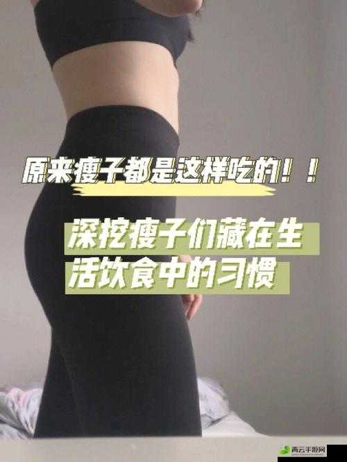 我的漂亮的瘦子 5 有什么特点：分析其独特之处