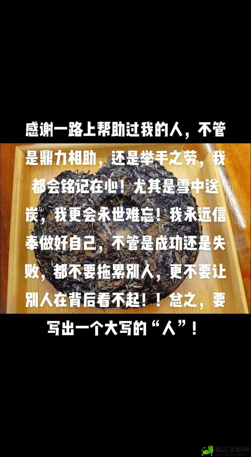 719y 你会回来感谢我的原因揭秘