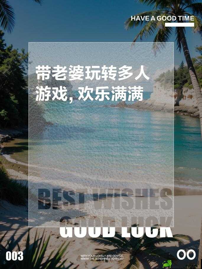 带老婆玩多人游戏的心得分享心得