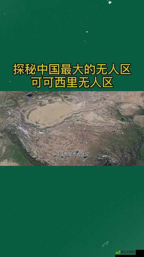 探秘国产无人区码卡功能齐全将重开放：引发关注