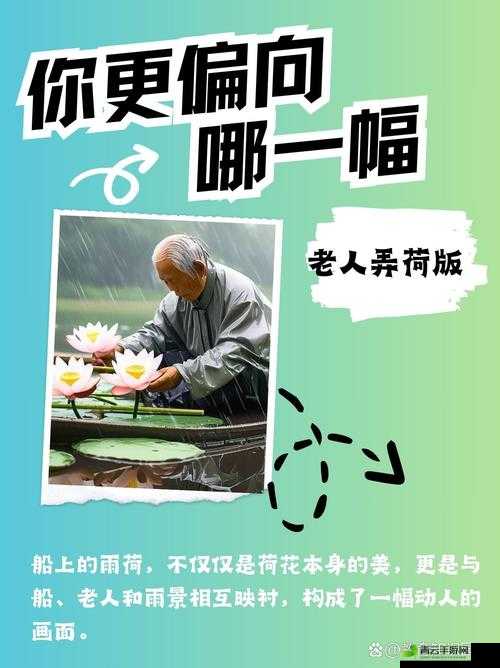 老人船上弄雨荷有收藏价值吗：探讨其背后意义