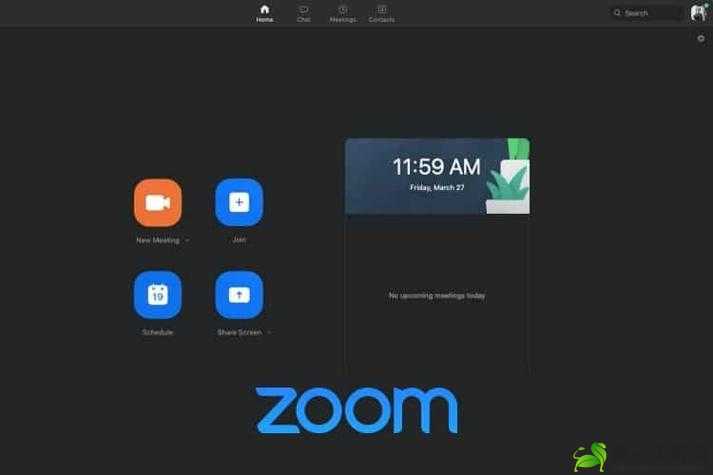 Zoom 与人性 Zoom 视频：深度剖析与思考