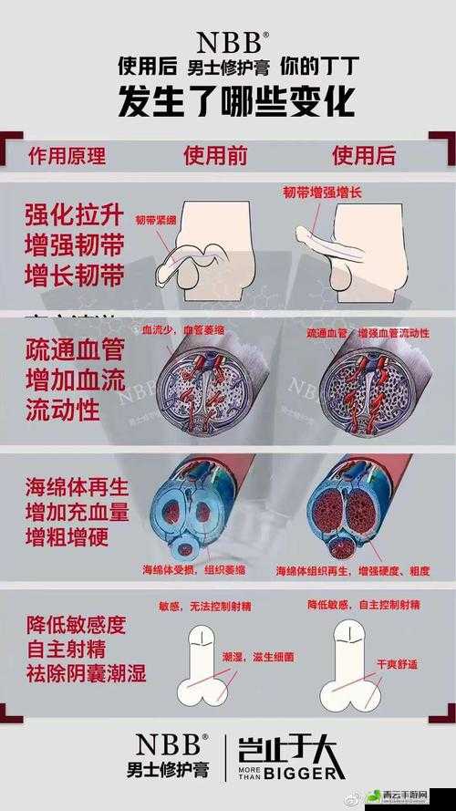 用手过度的海绵体受损怎么恢复：实用方法介绍