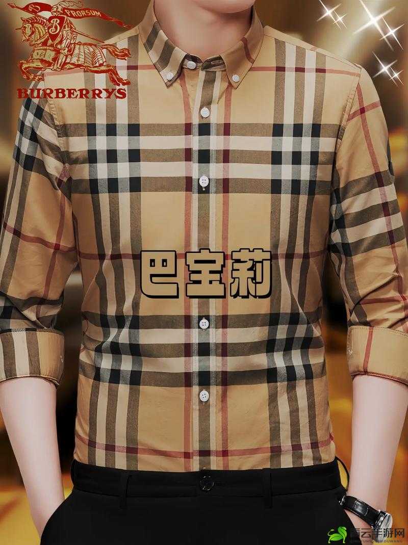 BURBERRY 中文免费版：时尚经典来袭