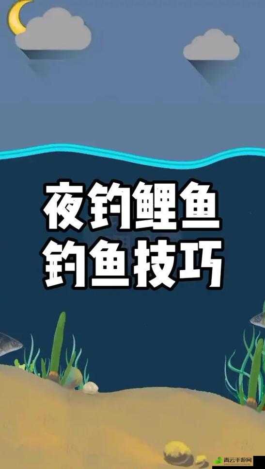 鲤鱼喝水技巧图解之详细解析