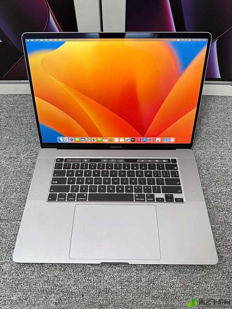 19 岁拥有的日本 MacBook Pro