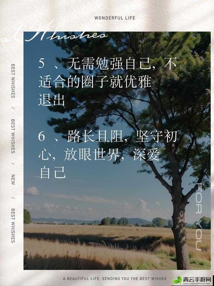 乖我们换个姿态最火的一句：探寻背后的深意