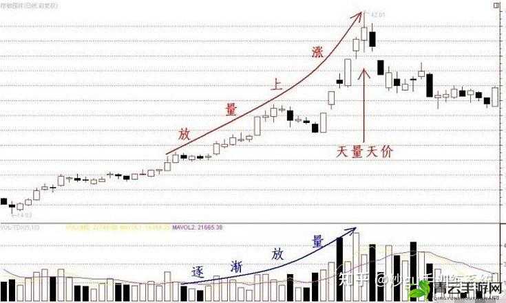 双龙入户的体验如何：深度解析与感受分享