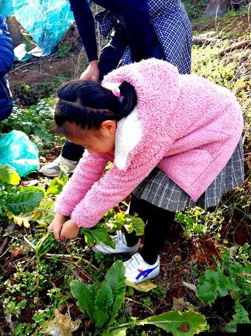 14 岁女孩：萝卜太大，我拔不出来