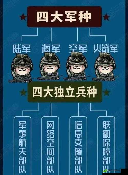 特种作战模式中兵种数量究竟几何