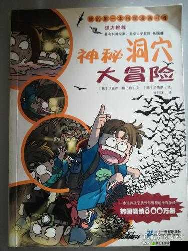 魔法洞穴 2：探寻神秘洞穴，开启奇幻冒险新手入门指南