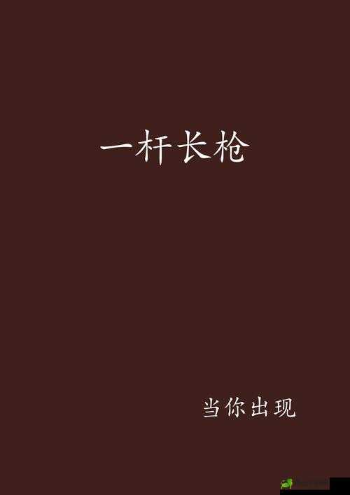 一杆长枪直入两扇门：探秘其背后的故事