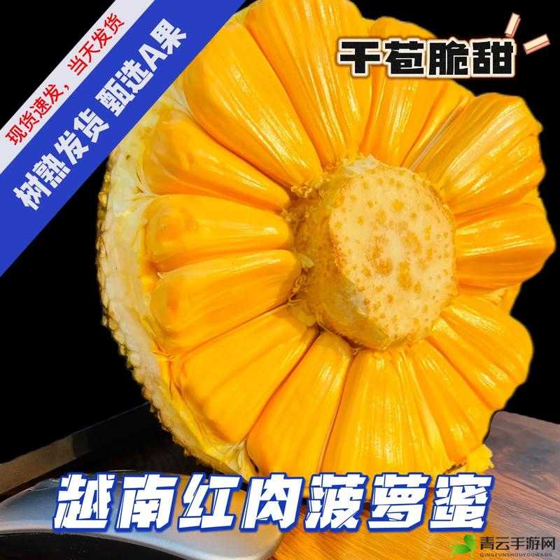 疯狂拨动我的小句号进入就是 404-草莓菠萝蜜公司：一个独特存在