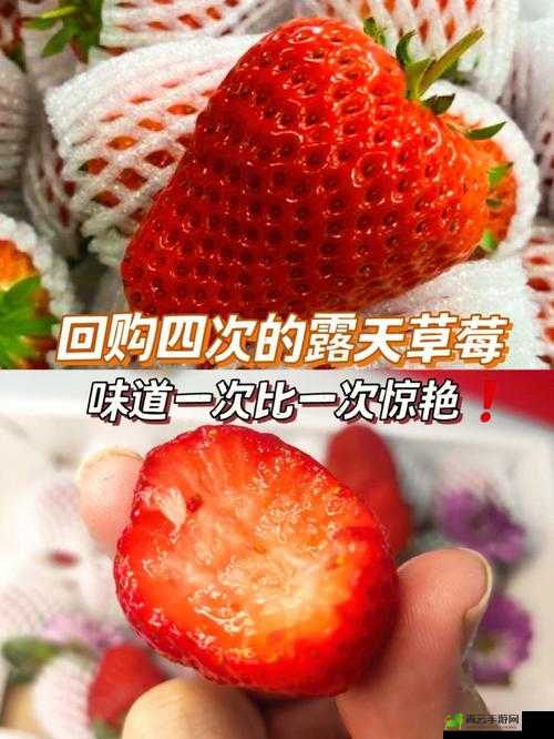 迈开腿吃草莓方法：教你轻松享受美味