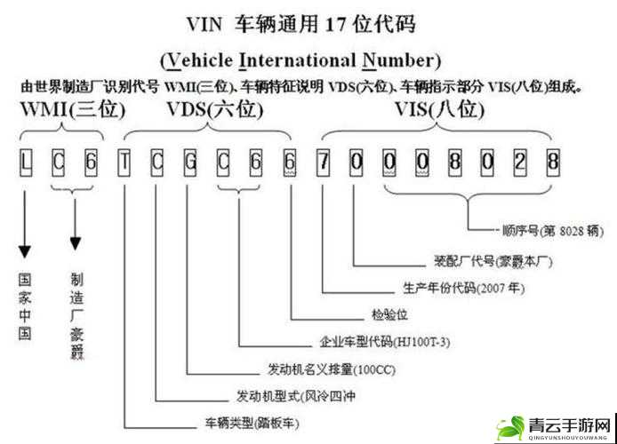 无区码一码二码三码：重要的编码分类