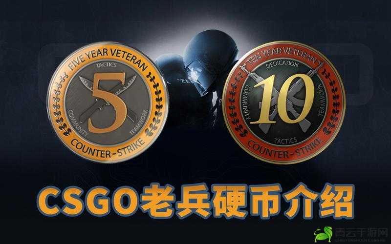 CSGO 十周年生日硬币怎么获得：攻略指南