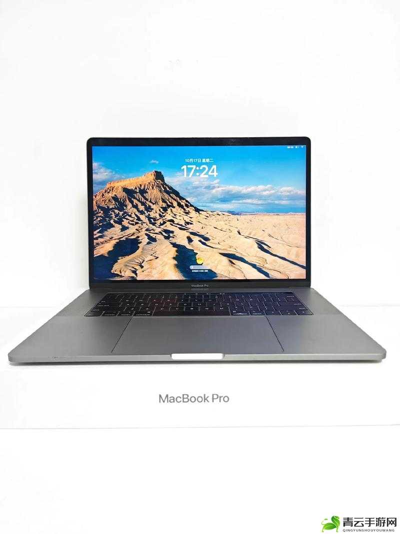 18-19macbook pro 苹果笔记本电脑