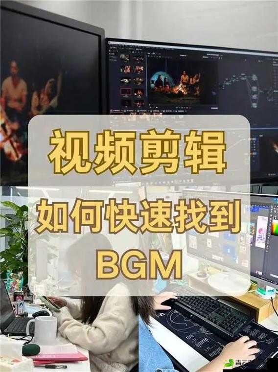 如何寻找免费的视频 bgm 大全：实用技巧分享