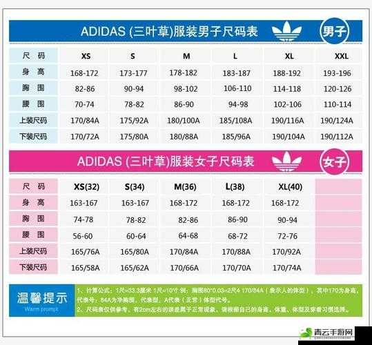 三叶草 M 码和欧洲码的区别是什么