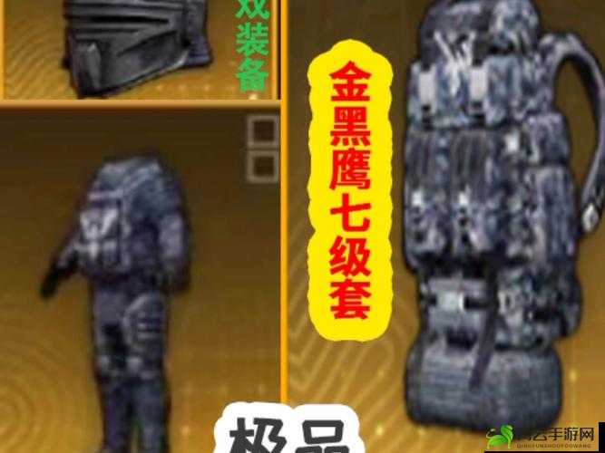 和平精英旷野奇兵套装获取攻略：轻松拥有旷野奇兵套装