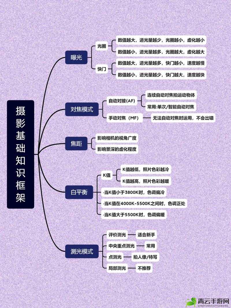 摄影艺术入门指南：基础技巧与创作思路