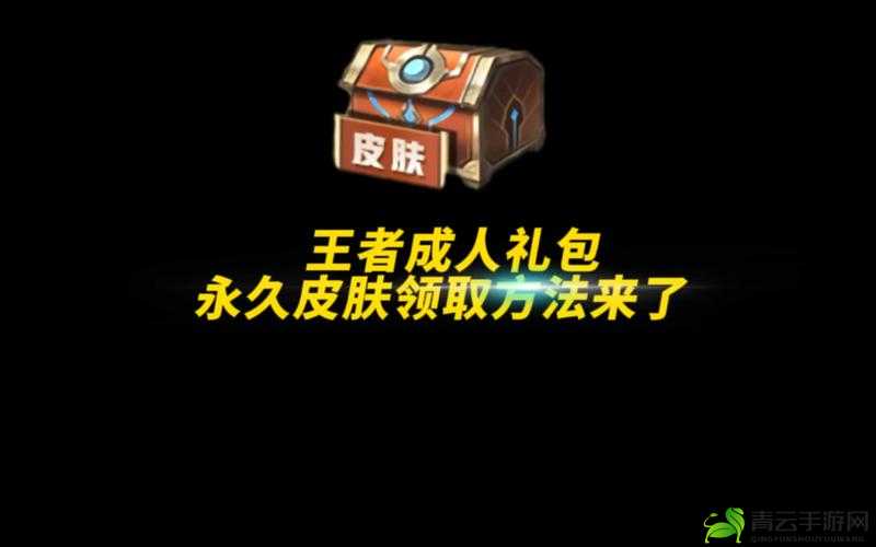 王者荣耀永久 CP 皮肤免费开启 参与游戏即送宝箱啦