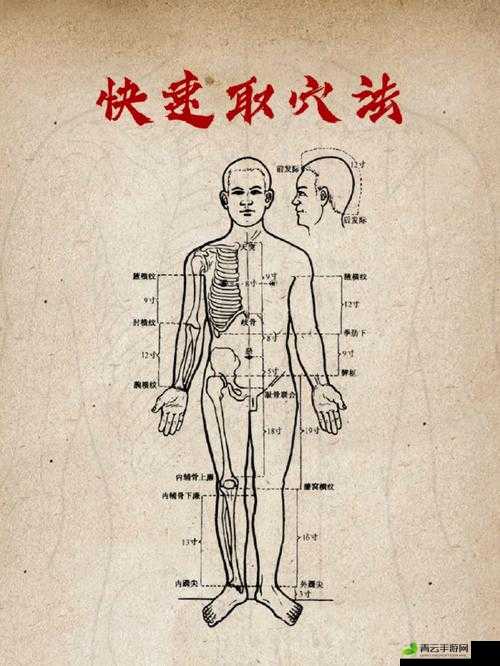 男人五十五性功能衰退怎么办：寻解决之法