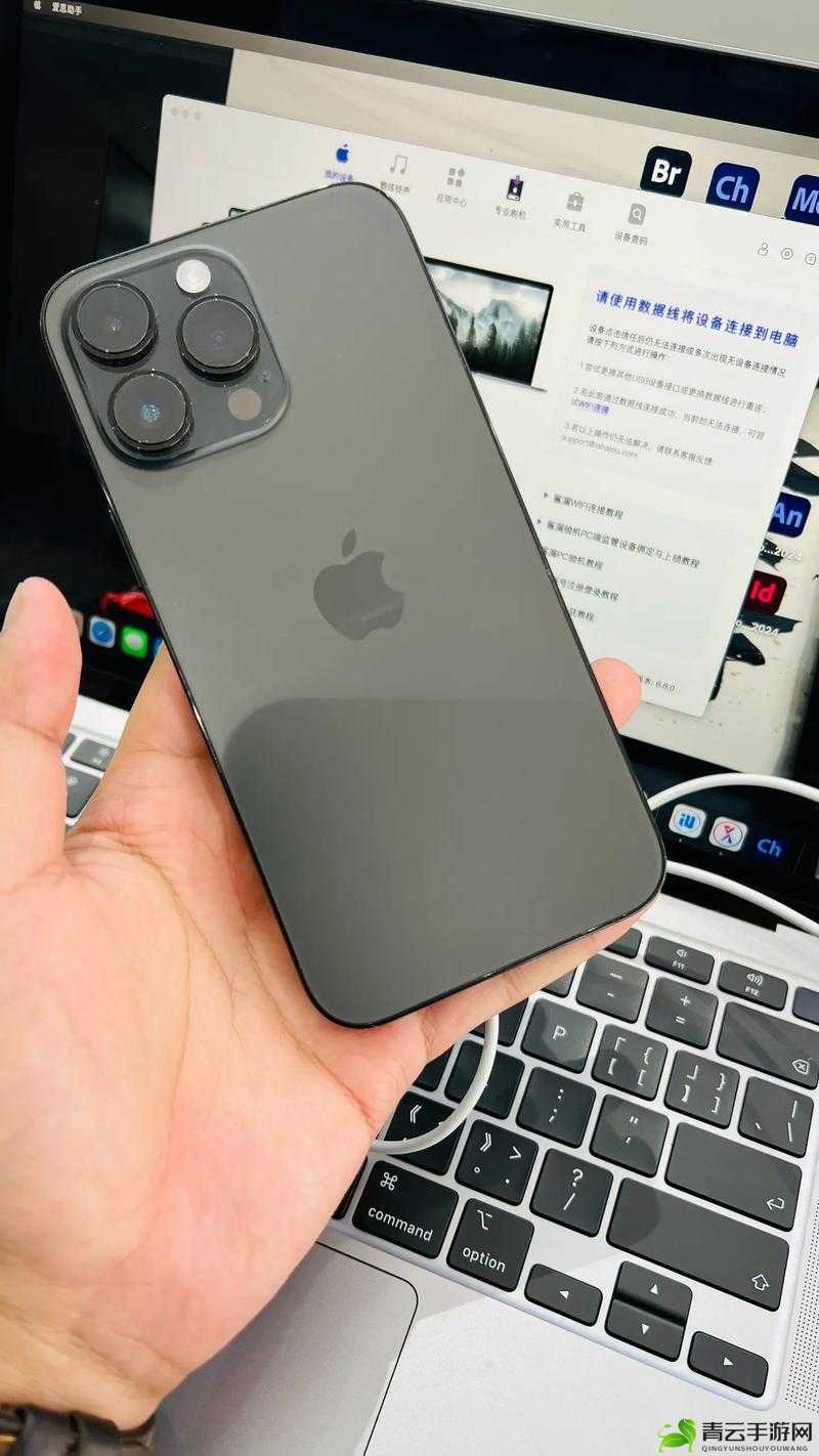 俄罗斯 iPhone-14-Pro：独具特色的手机