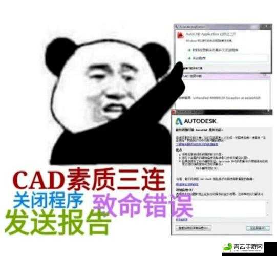 CAD 免费高清视频 3.1 质量连连糟：吐槽