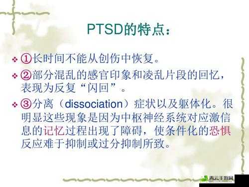 网络热词解析：PTSD的含义与梗的起源探究