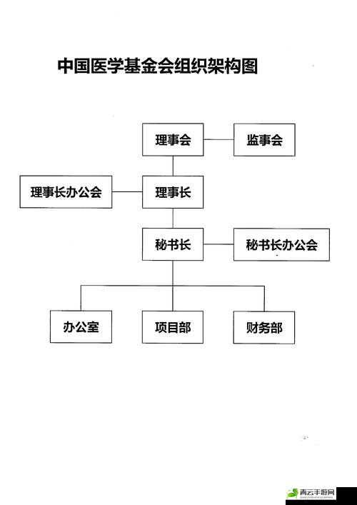 以下哪一项是基金会的组织特点：深度解析