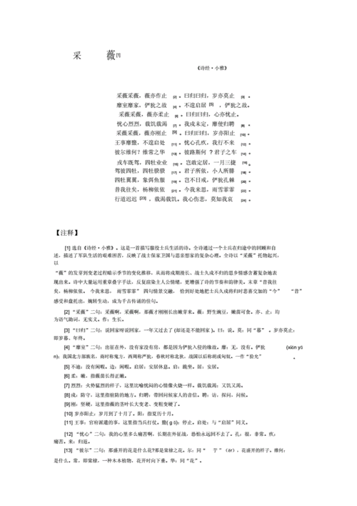 采薇与家公全文免费阅读：精彩不容错过