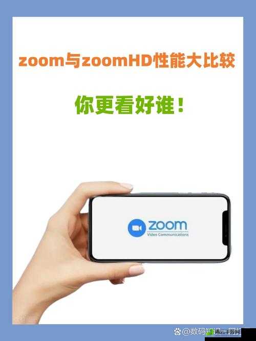 ZOOM 与 ZOOMHD 性能比较分析