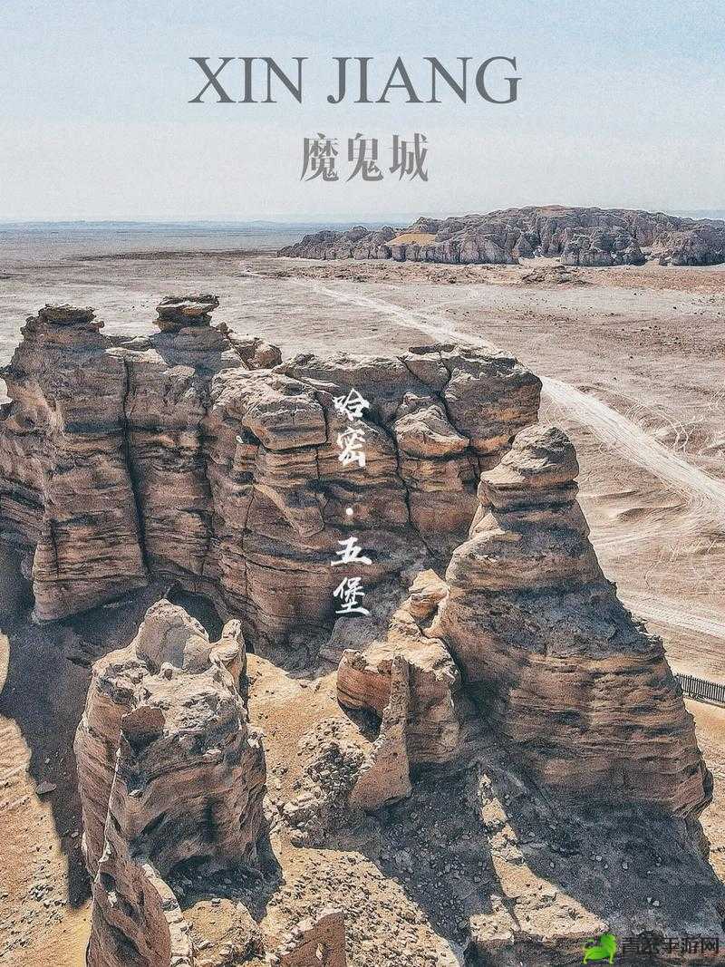 2024 无人区码一码二码三码：探索未知的神秘之旅