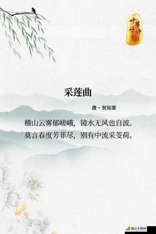 墨魂贺知章联诗答案大揭秘：探究诗词背后的文化密码