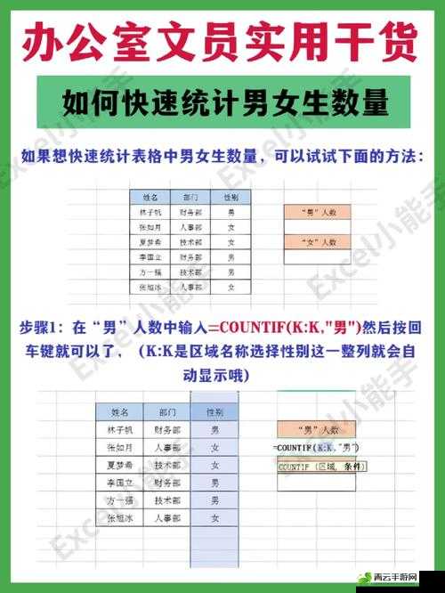 免费 B 站在线观看人数如何统计：方法与技巧