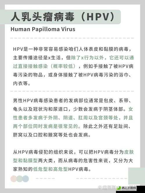 和两个人发生过关系会得 HPV 吗：概率分析