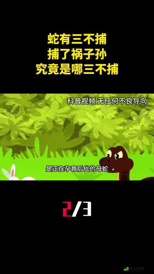 FJ：风奇拉所属宠物系别揭秘：神秘生物究竟属于哪系？