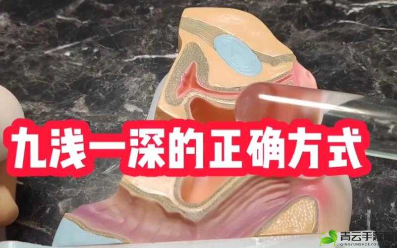 九浅一深和左三右三如何搭配：提高性体验的技巧